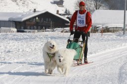 Lenk 2012 SM